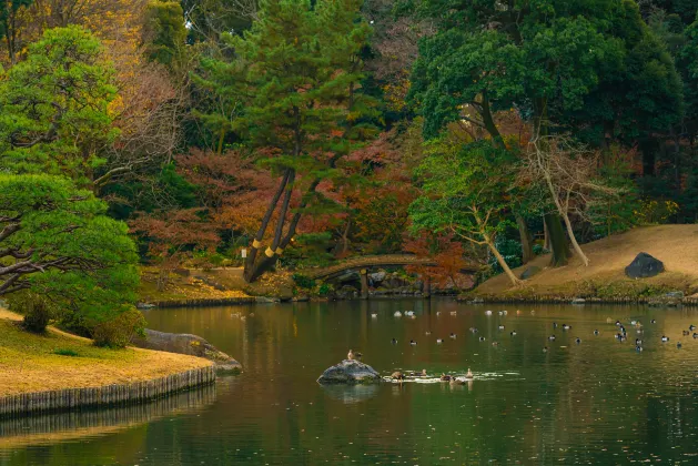 Uni Air Flights to Takamatsu