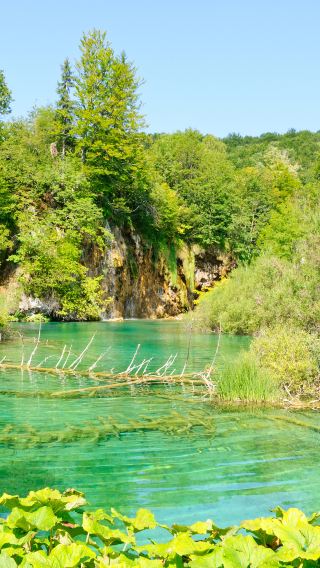 Plitvice Lakes National Park + Croatian Museum of Naïve Art + Lotrscak Tower private charter