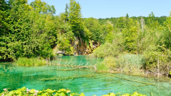 Plitvice Lakes National Park, Croatian Museum of Naive Art, and Warning Tower one-day tour
