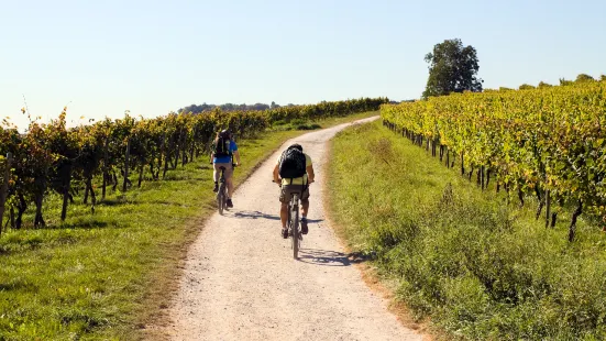 Nationalpark Neusiedler See - Seewinkel