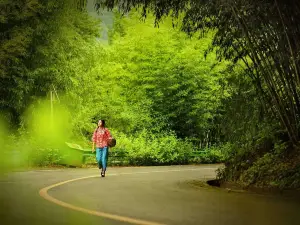 Wangfu Zhuhai Holiday Tourist Area