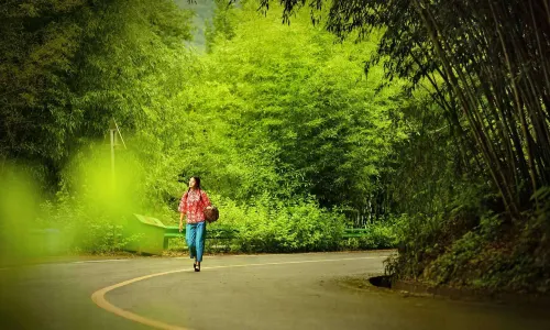 Wangfu Zhuhai Holiday Tourist Area