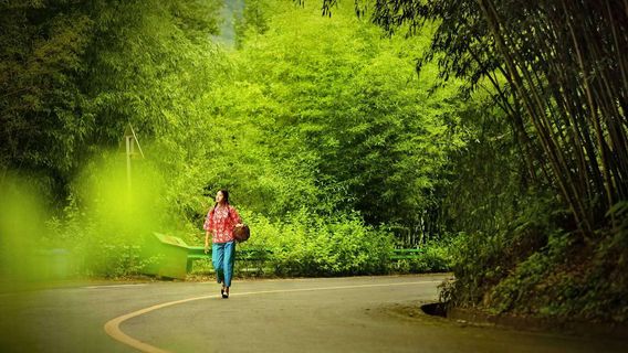 Wangfu Zhuhai Holiday Tourist Area