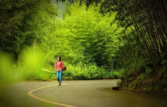 王府竹海度假旅遊區門票成人