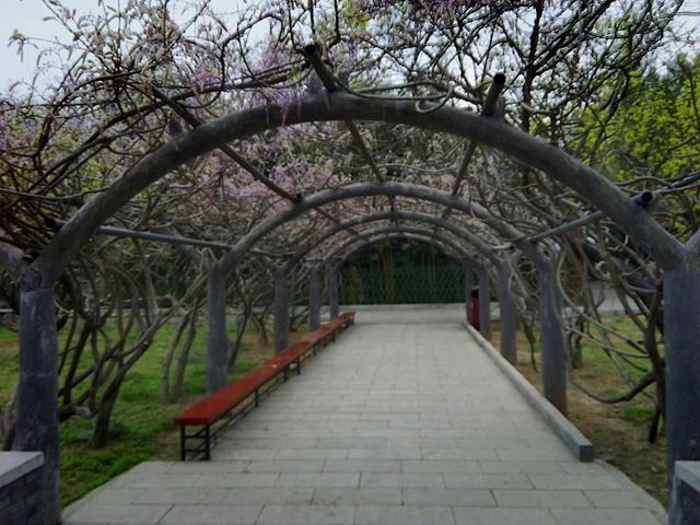 Hongluo Temple