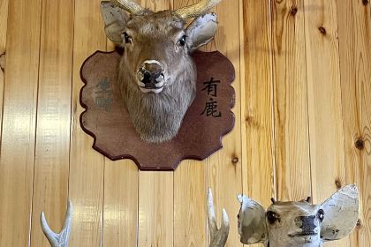 山源农家院柴火铁锅炖