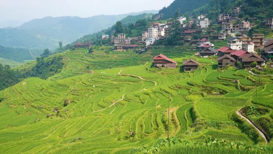 田頭苗寨位於融水苗族自治縣四榮鄉東田村田頭屯，距柳州市160