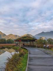 神農架林區神農架大九湖國家濕地公園-觀景台