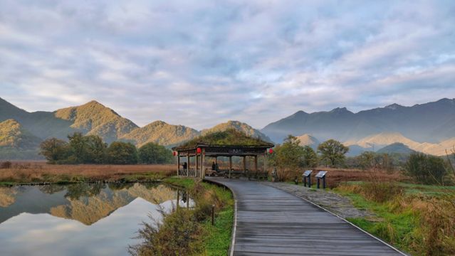 Observation Deck, Dajiuhu National Wetland Park, Shennongjia Forestry District