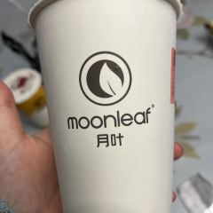 海月饭庄·白族特色美食汇 User Photo