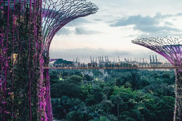 Les jardins verticaux Supertree Grove de Singapour