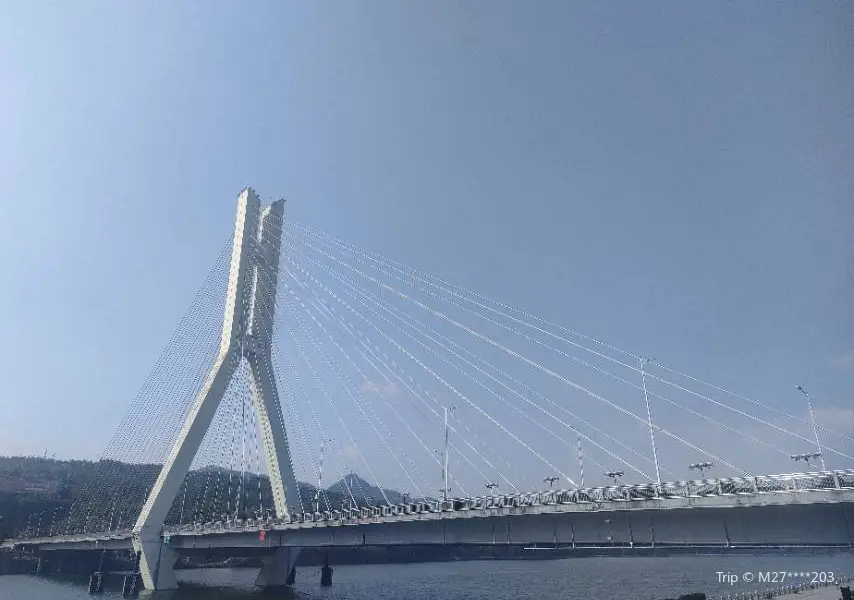 Zijin Bridge