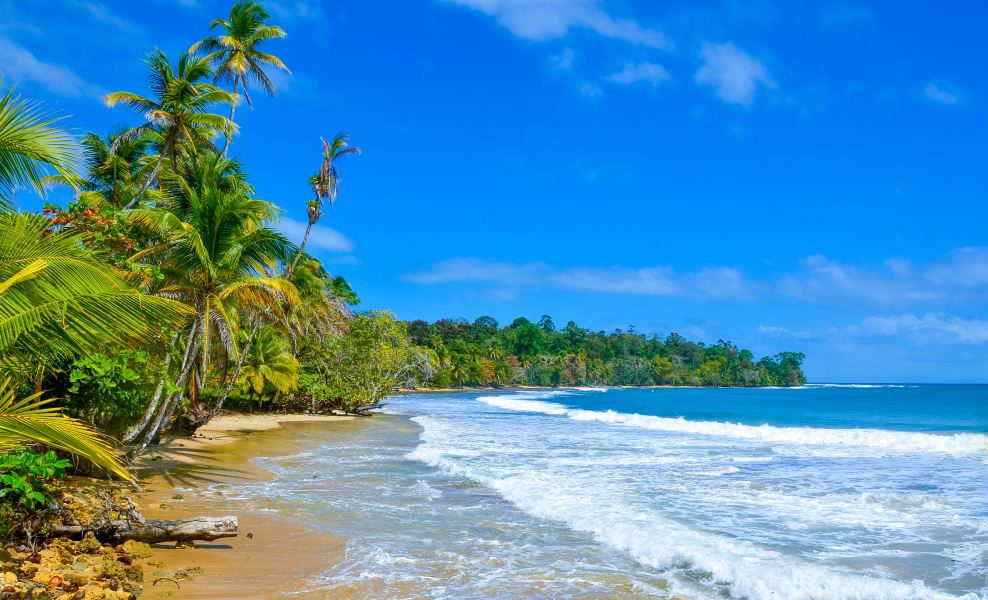 New Orleans to Bocas Del Toro Flights