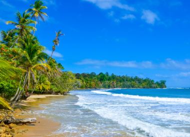 Bocas Del Toro