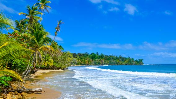 Colón Island