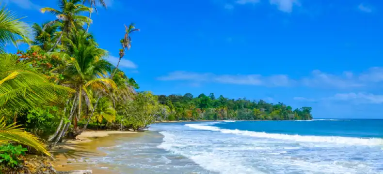 โรงแรมในโบกาสเดลโตโร