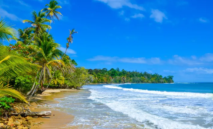 Flug nach Bocas Del Toro