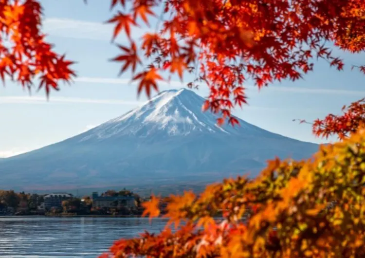 福岡、秋の絶景紅葉スポット8選
