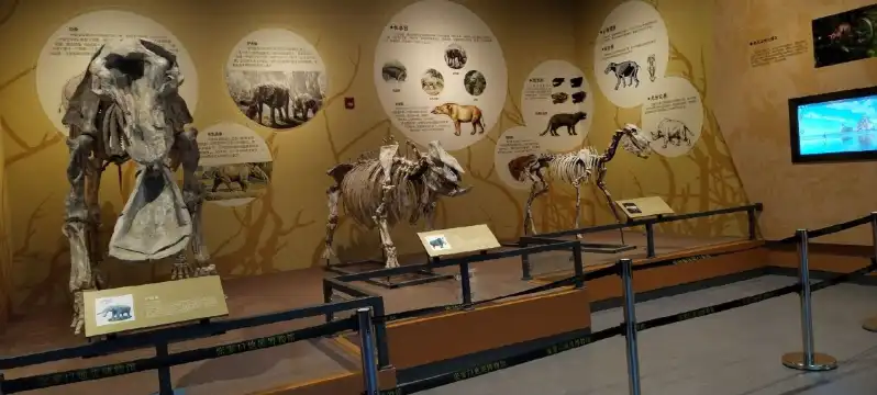 Hotels near Zhangjiakou Geological Museum