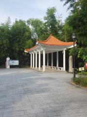 Wanzhu Yuan