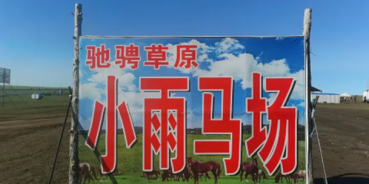 馳騁草原小雨馬場