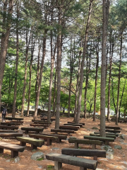 Yumyeongsan Nature Recreation Forest