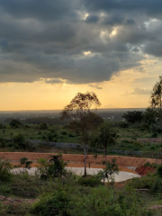 Avalahalli Forest