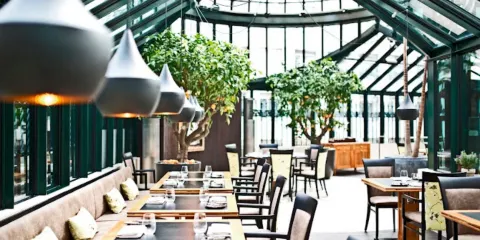 Clementine im Glashaus