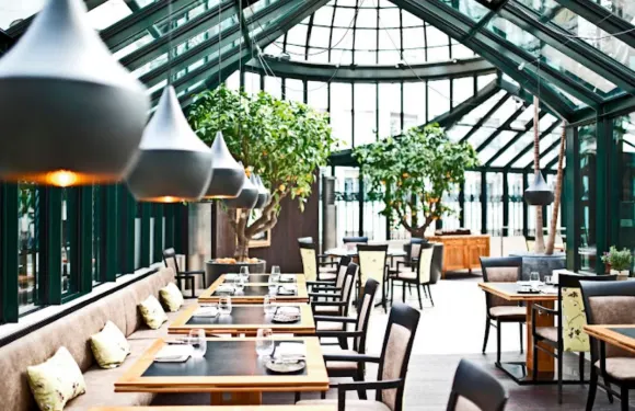 Clementine im Glashaus