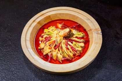 仙鱼石缘·蒸汽草帽鱼