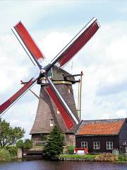 荷兰风车节
