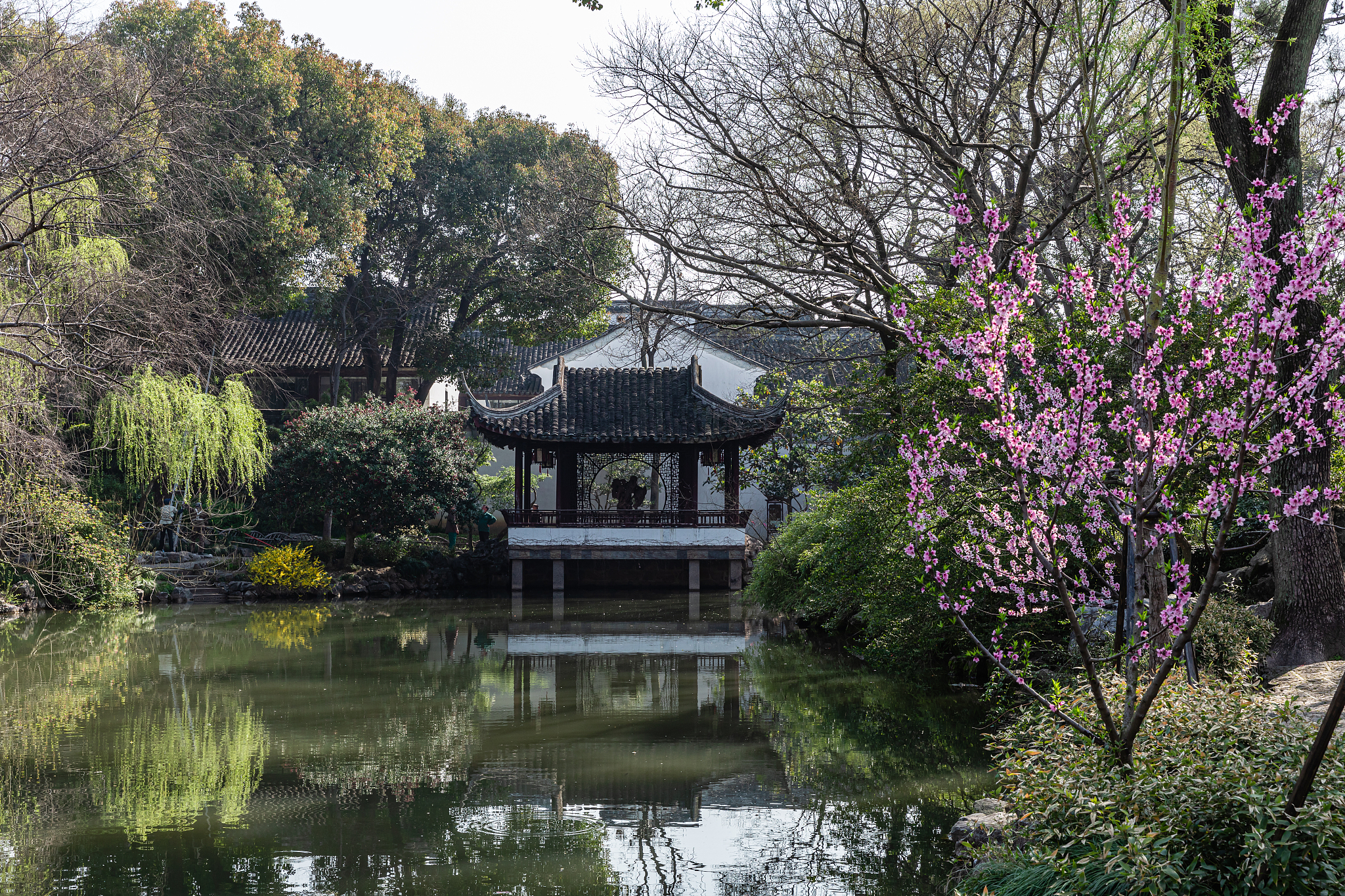 蘇州賞桃花