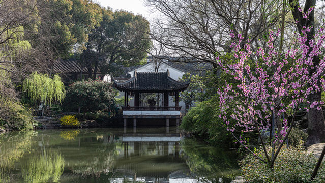 Peach Blossom Viewing in Suzhou