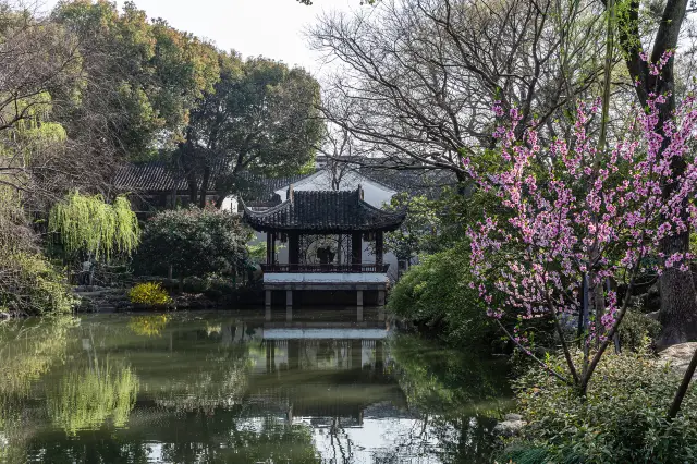 Suzhou Peach Blossom Viewing