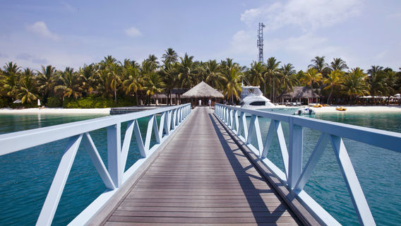 Maldive