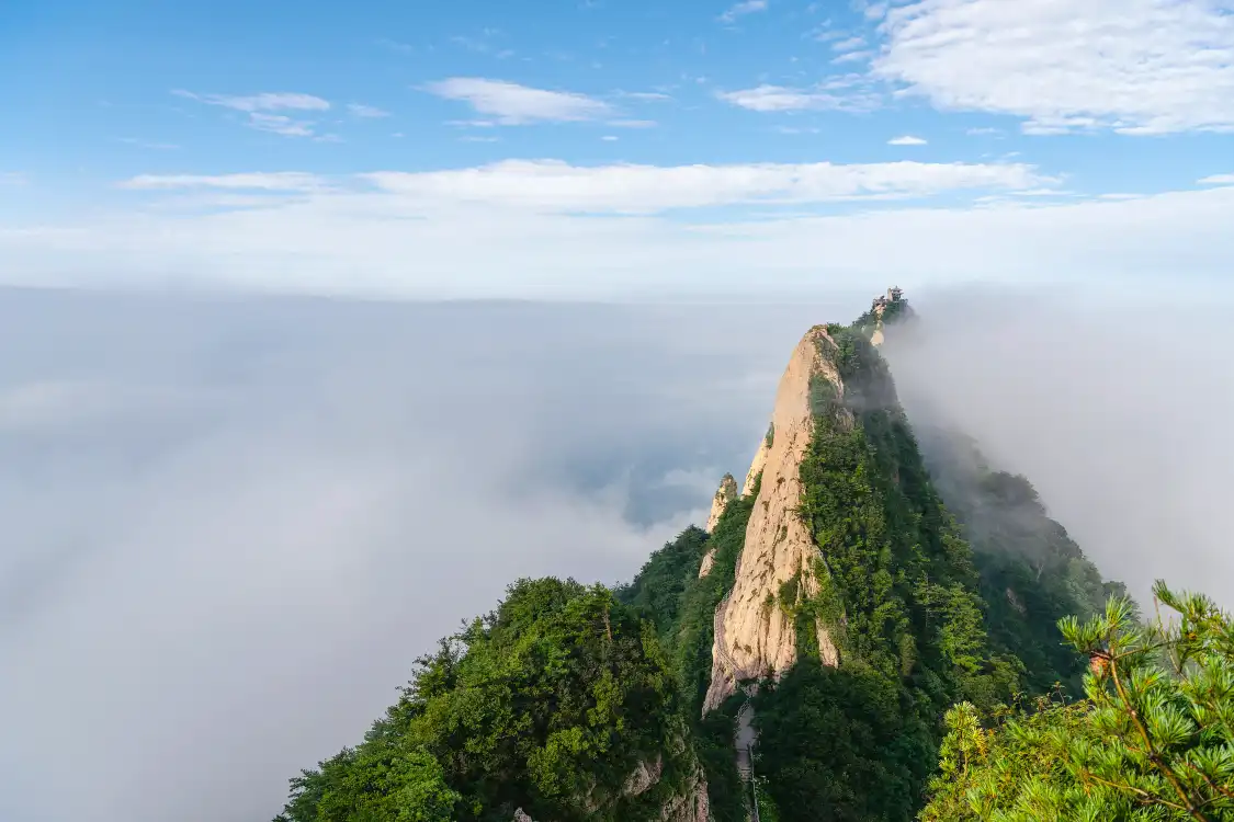 마종령 주변 호텔