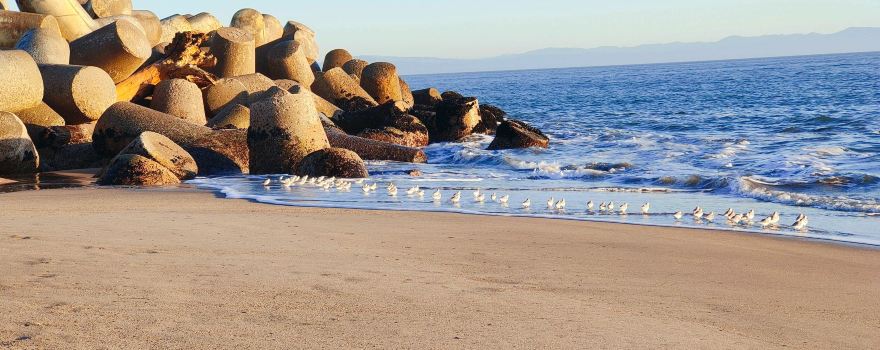 Seabright Beach