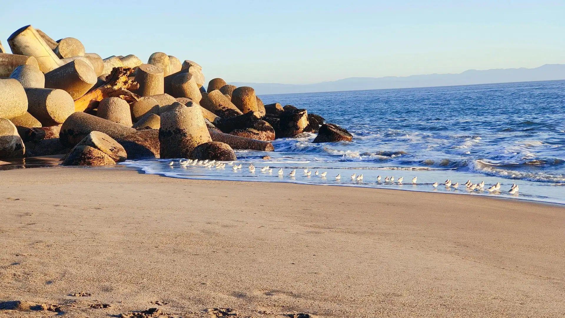 Hotels near Seabright Beach