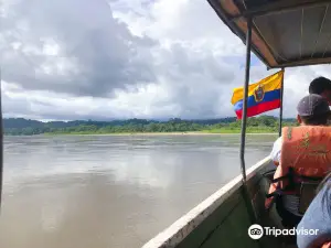 Amazon Rainforest
