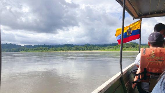 Amazon Rainforest