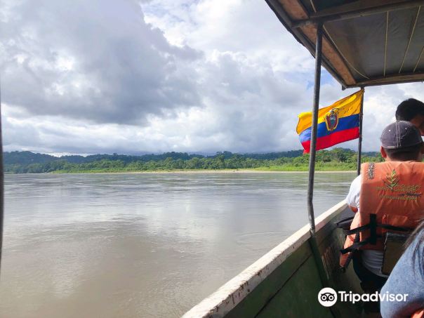 Amazon Rainforest