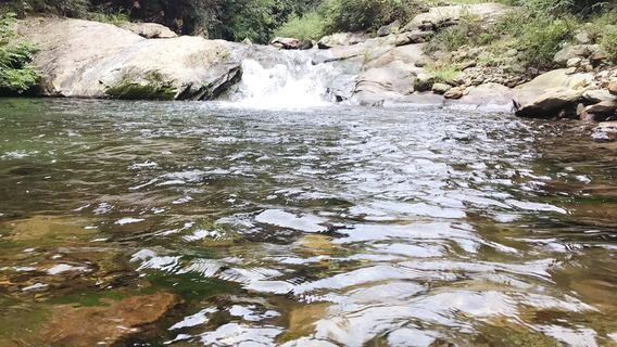 Пейзажный район густого водопада на горе Лейгун