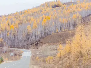 Border Highway