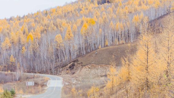 Border Highway