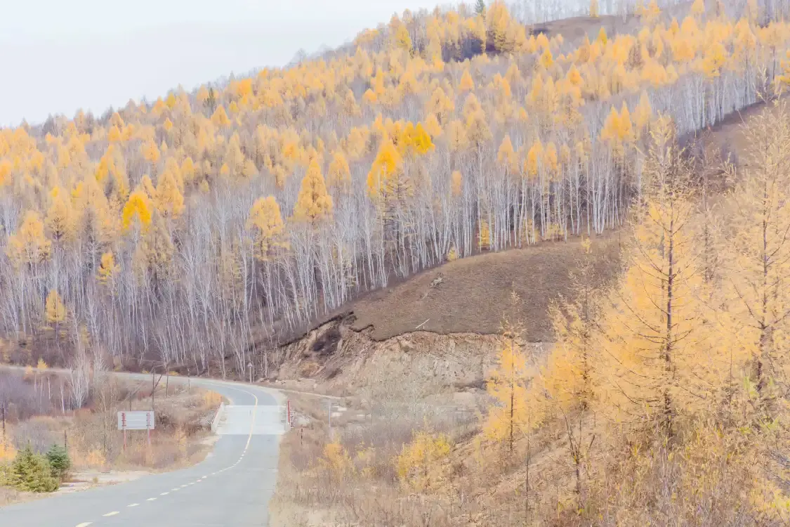Hotels near Border Highway