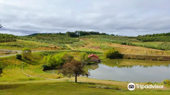 Mercier Orchards