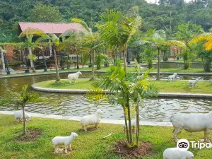 Refarm