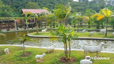Refarm