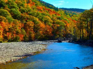 Crawford Notch Campground