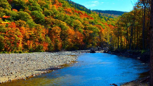 Crawford Notch Campground